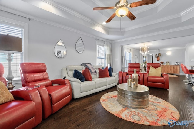 living room featuring ceiling fan with notable chandelier, a tray ceiling, dark hardwood / wood-style floors, and ornamental molding