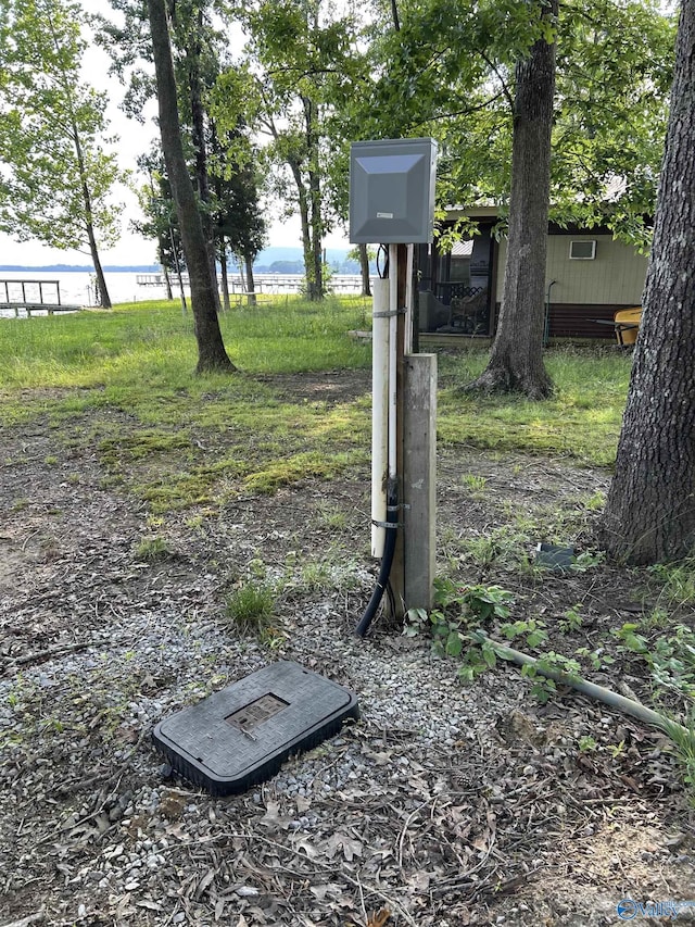 1165 Sunset Dr, Leesburg, AL 35983 - exterior view of a water meter