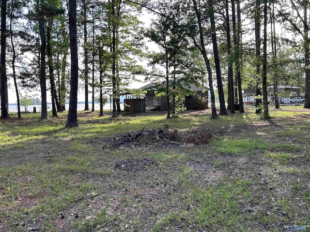 1165 Sunset Dr, Leesburg, AL 35983 - view of yard
