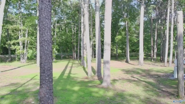 1165 Sunset Dr, Leesburg, AL 35983 - view of yard