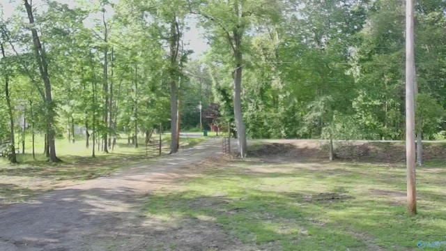 1165 Sunset Dr, Leesburg, AL 35983 - view of surrounding community