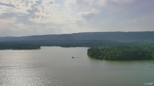 1165 Sunset Dr, Leesburg, AL 35983 - water view