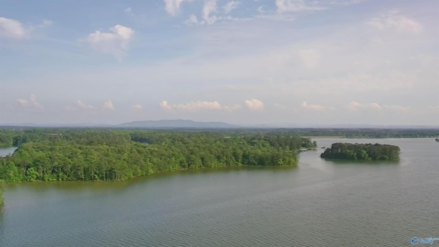 1165 Sunset Dr, Leesburg, AL 35983 - water view with a forest