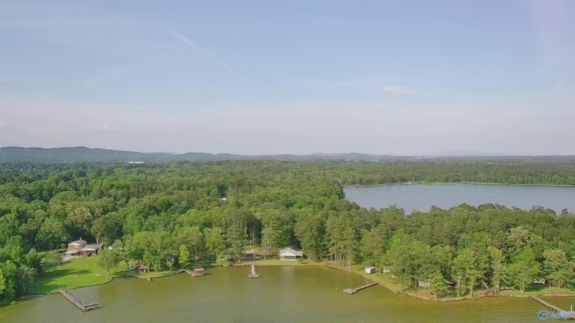1165 Sunset Dr, Leesburg, AL 35983 - view of property location featuring a heavily wooded area and a nearby body of water
