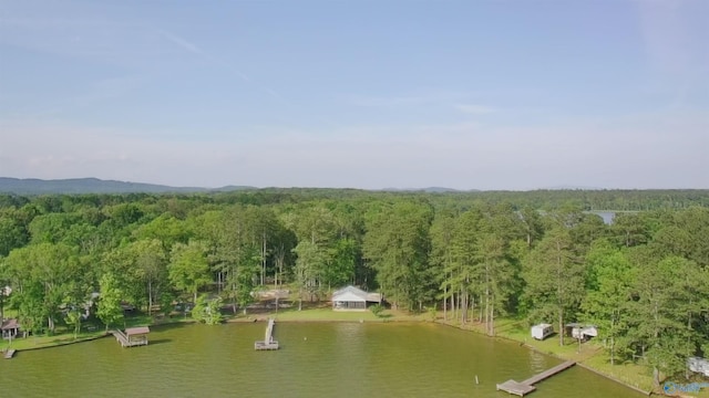 1165 Sunset Dr, Leesburg, AL 35983 - aerial view of a nearby body of water and a heavily wooded area