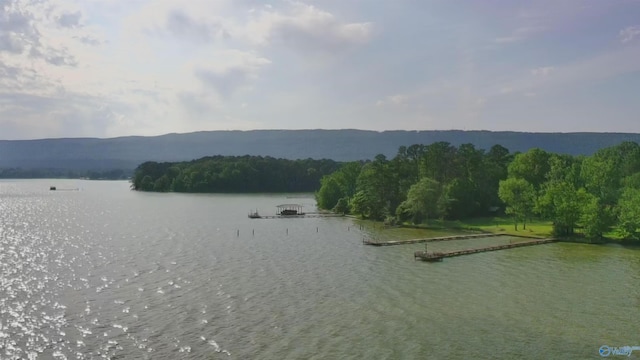 1165 Sunset Dr, Leesburg, AL 35983 - water view with a forest