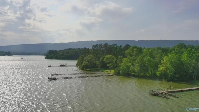 1165 Sunset Dr, Leesburg, AL 35983 - water view featuring a heavily wooded area