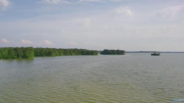 1165 Sunset Dr, Leesburg, AL 35983 - water view
