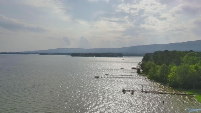 1165 Sunset Dr, Leesburg, AL 35983 - water view