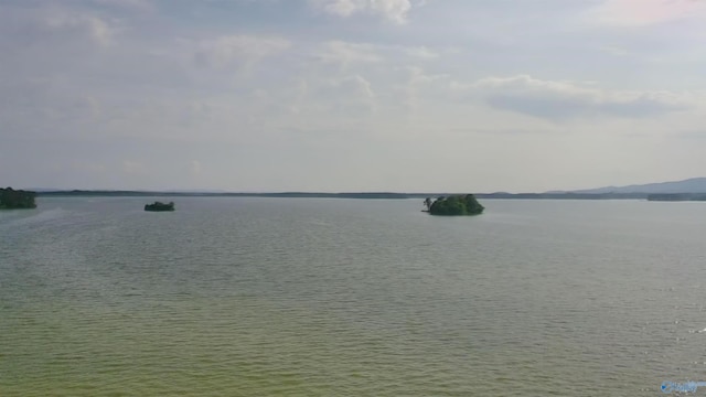1165 Sunset Dr, Leesburg, AL 35983 - water view