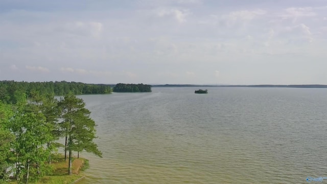 1165 Sunset Dr, Leesburg, AL 35983 - water view