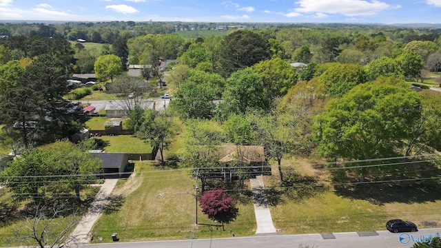 aerial view