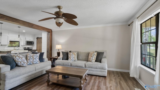 living room with baseboards, a textured ceiling, and plenty of natural light