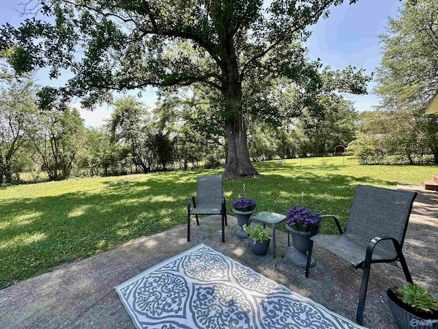 view of yard featuring a patio area