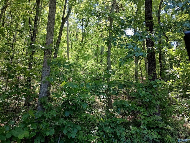 2700 Duncan Ave, Gadsden, AL 35901
