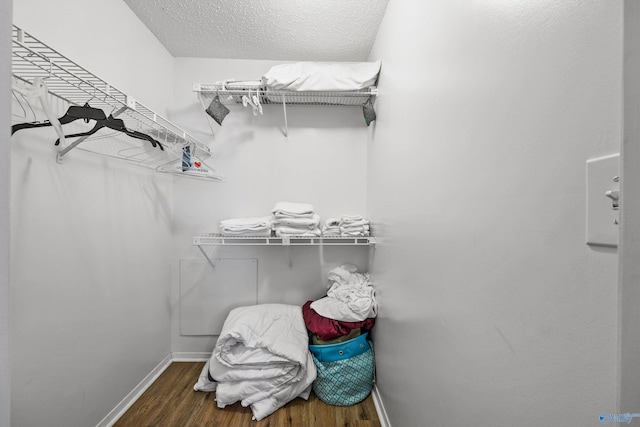 spacious closet featuring dark hardwood / wood-style floors