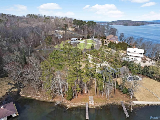 3635 Buck Island Dr, Guntersville, AL 35976 - view of property location featuring a large body of water