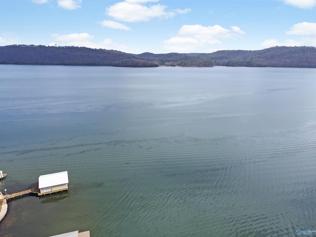3635 Buck Island Dr, Guntersville, AL 35976 - water view with a floating dock and a mountain backdrop