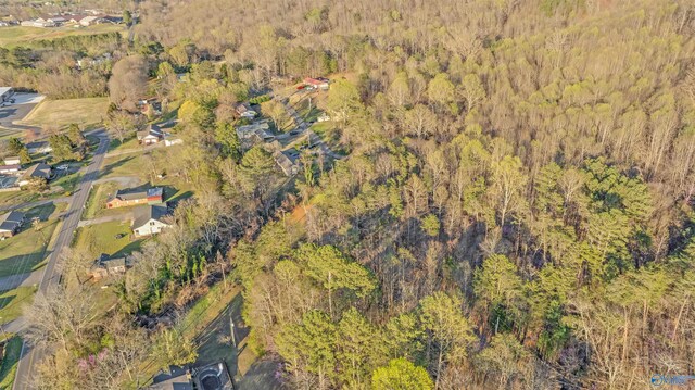 LOT7 Martin Ave NE, Fort Payne, AL 35967