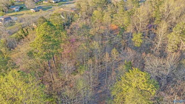 LOT7 Martin Ave NE, Fort Payne, AL 35967