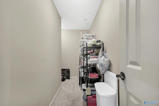 12100 Two Rivers Dr Phi, Phi, Athens, AL 35611 - view of storage area