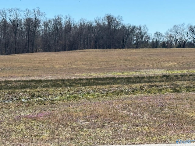 view of landscape with a rural view