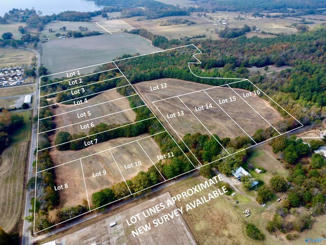 16 Cemetery Rd, Langston AL, 35755 land for sale