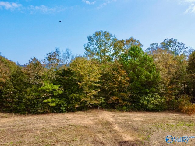 Listing photo 3 for 16 Cemetery Rd, Langston AL 35755