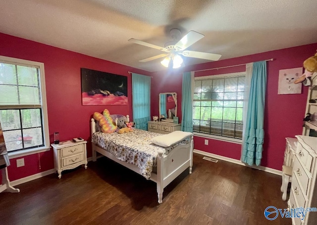 1055 Georgia Mountain Rd, Guntersville, AL 35976 - bedroom featuring dark wood-type flooring, multiple windows, baseboards, and a textured ceiling