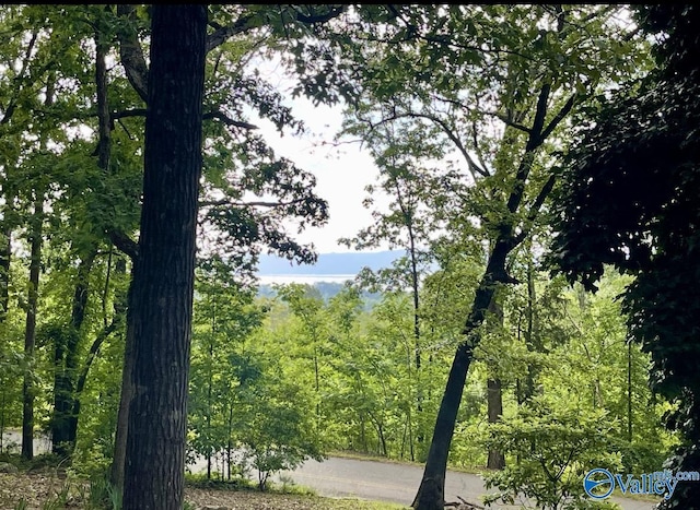 1055 Georgia Mountain Rd, Guntersville, AL 35976 - water view with a heavily wooded area