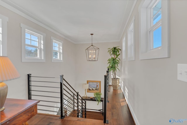 stairway with an inviting chandelier, hardwood / wood-style floors, and ornamental molding