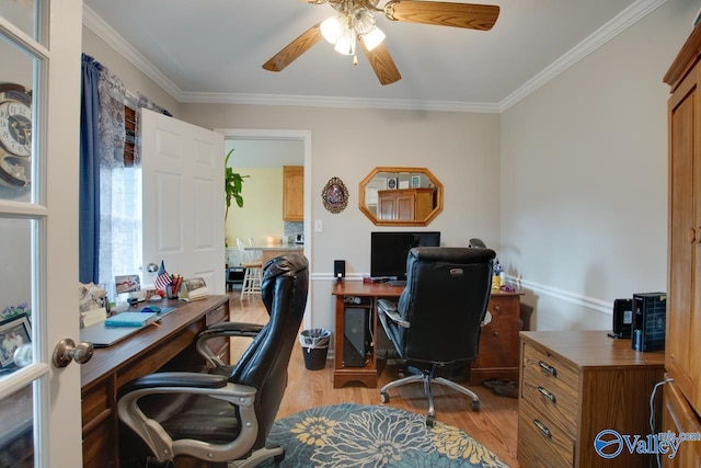 office area with light wood-type flooring, ceiling fan, and crown molding