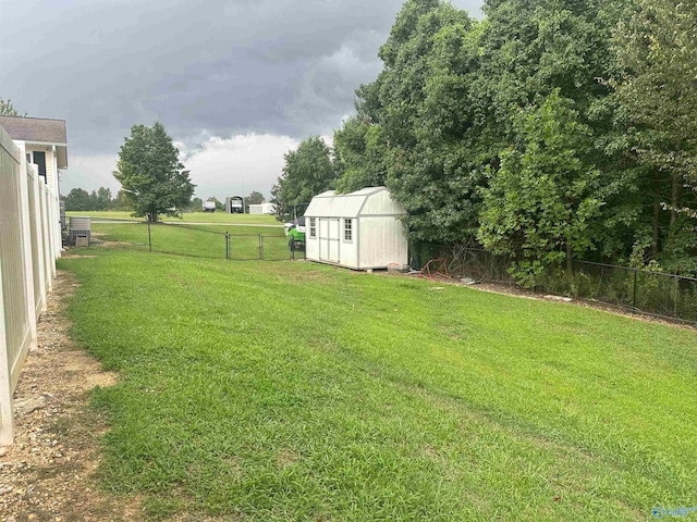 view of yard featuring a shed