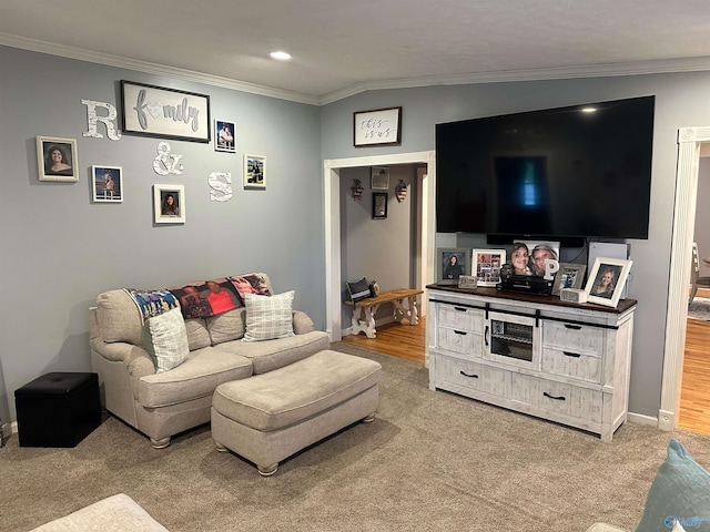 living room with crown molding and carpet