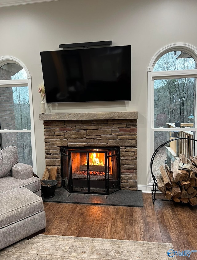 interior space with a stone fireplace and hardwood / wood-style floors