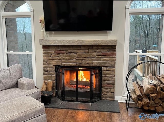 room details featuring hardwood / wood-style flooring and a stone fireplace