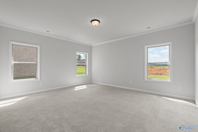 spare room with ornamental molding and carpet flooring