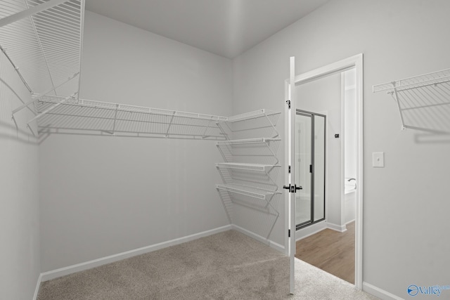 walk in closet with light colored carpet