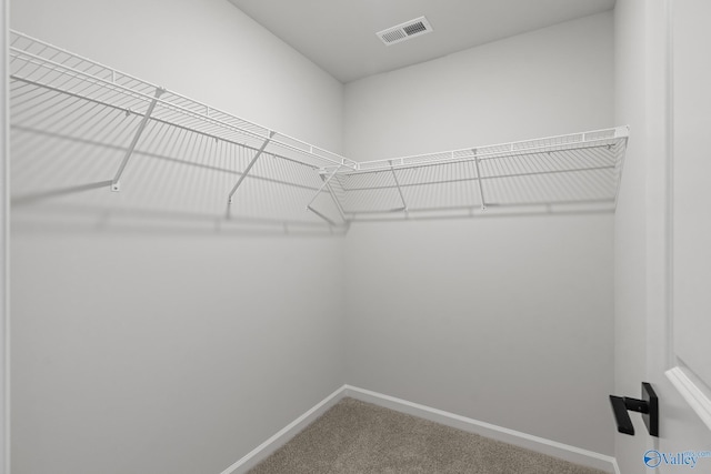 walk in closet featuring carpet floors