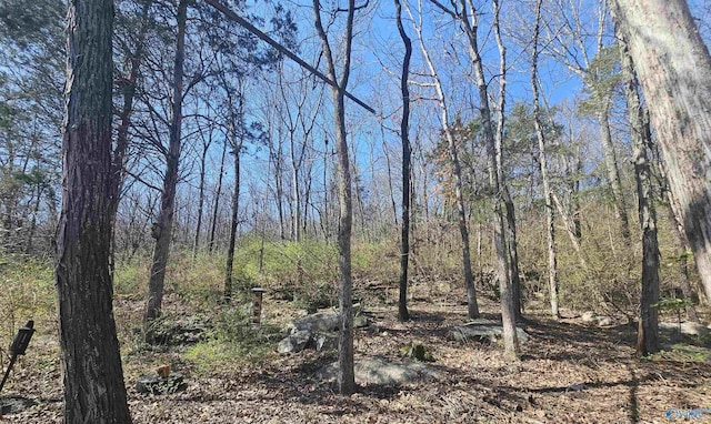 view of local wilderness with a forest view