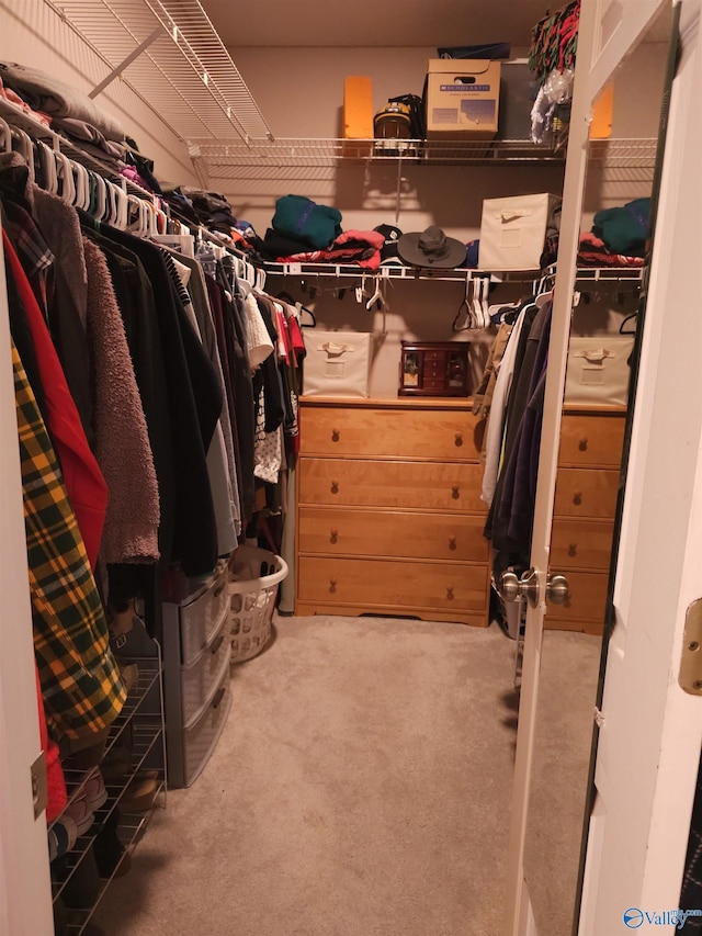 spacious closet featuring carpet floors