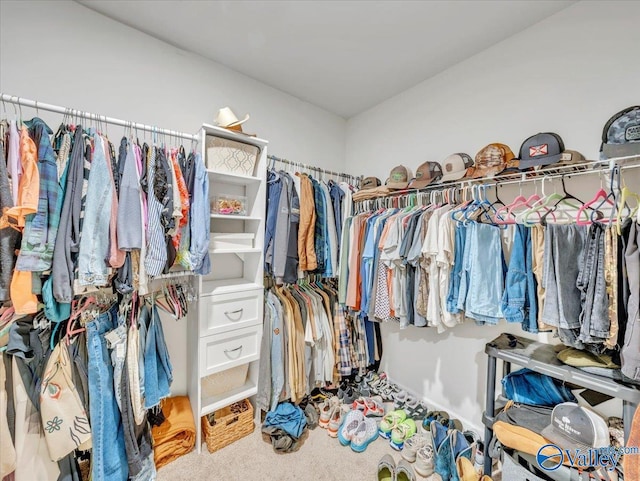 266 Dinner Tree Sq, Huntsville, AL 35811 - spacious closet featuring carpet floors