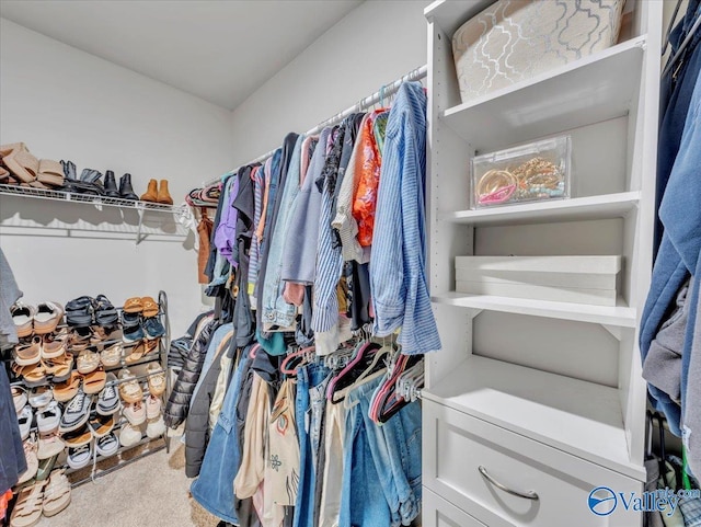 266 Dinner Tree Sq, Huntsville, AL 35811 - spacious closet featuring carpet