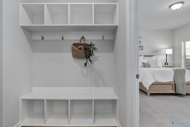 mudroom with carpet