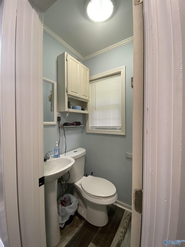 135 Forest Hill Rd, Trinity, AL 35673 - half bath with ornamental molding, wood finished floors, and toilet