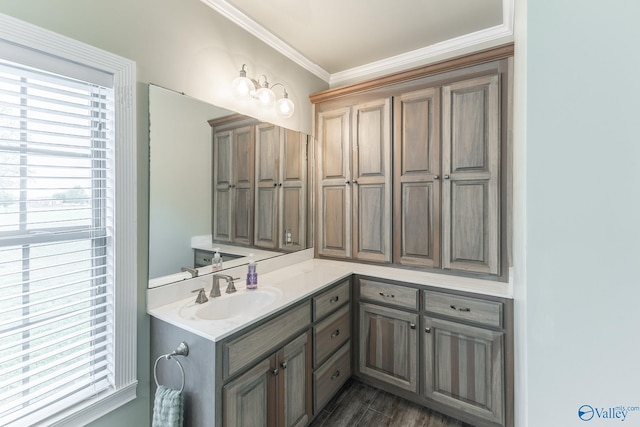 15153 Hobbs Rd, Athens, AL 35614 - bathroom with crown molding, vanity, and plenty of natural light