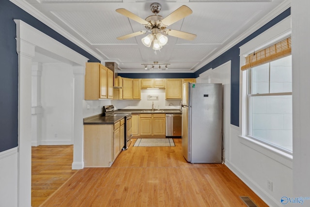 kitchen featuring light hardwood / wood-style floors, appliances with stainless steel finishes, plenty of natural light, light brown cabinets, and sink