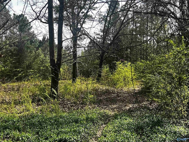 Listing photo 2 for 22ACRES County Road 150, Courtland AL 35618