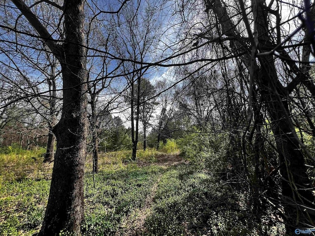 Listing photo 3 for 22ACRES County Road 150, Courtland AL 35618