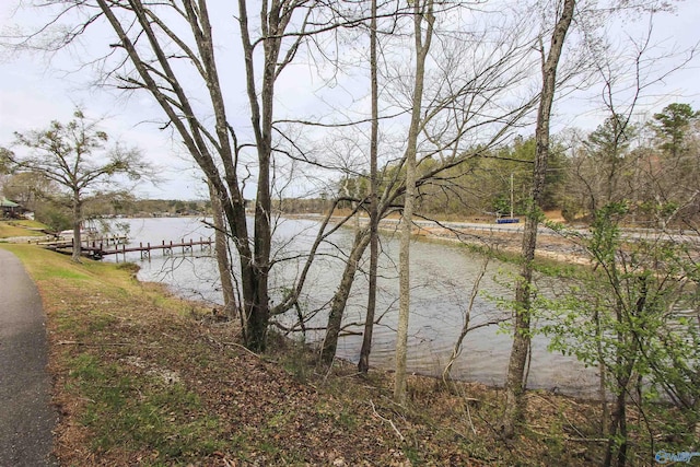 15 Mohawk Trl, Ohatchee, AL 36271